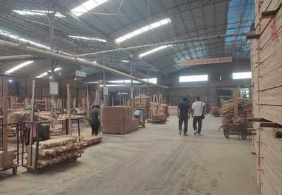 从江县林业局深入木材加工企业开展森林植物及其产品调运、产地检疫监督检查“双随机”抽查